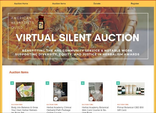example of virtual silent auction to raise funds