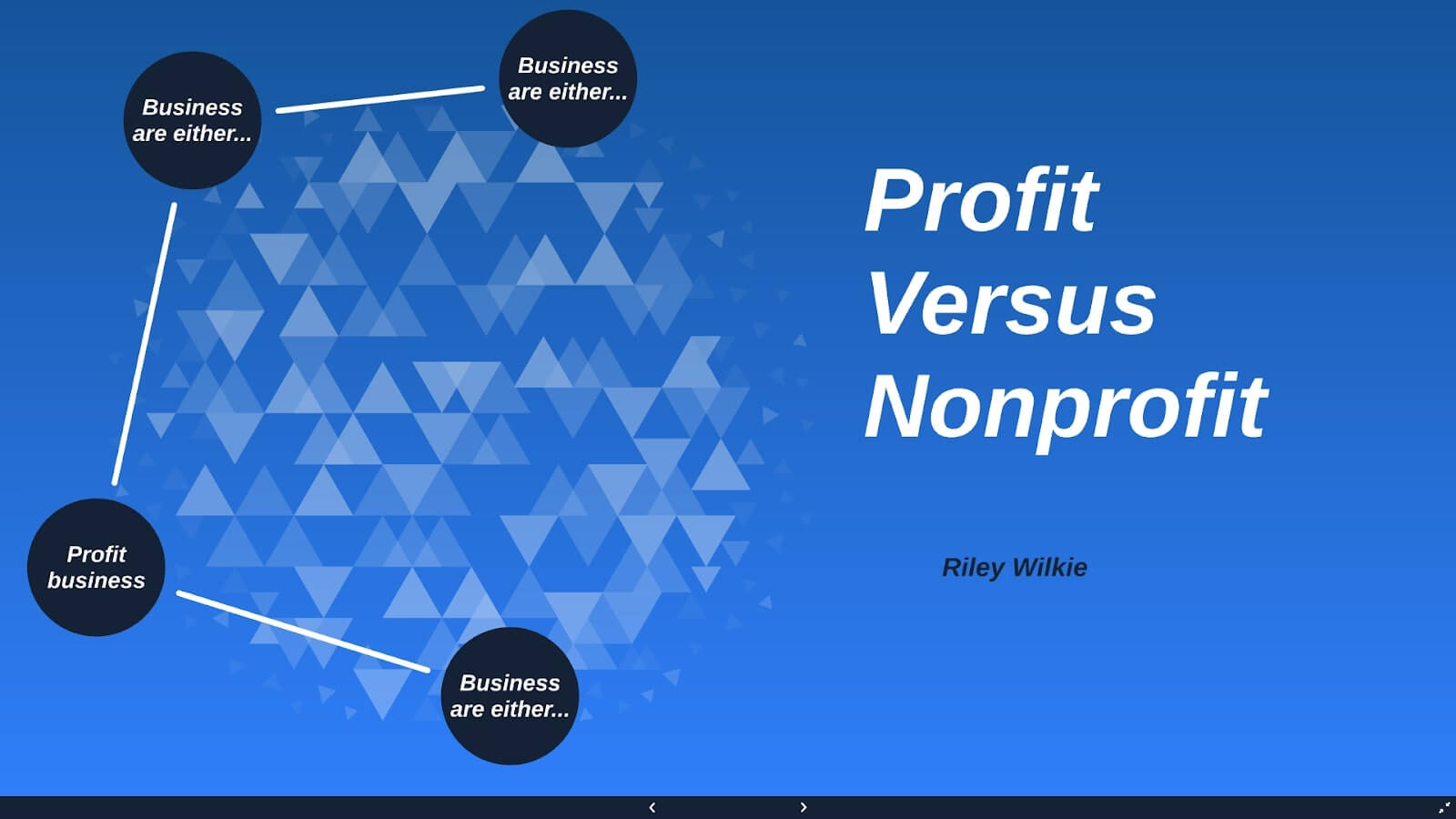 profit vs nonprofit prezi example